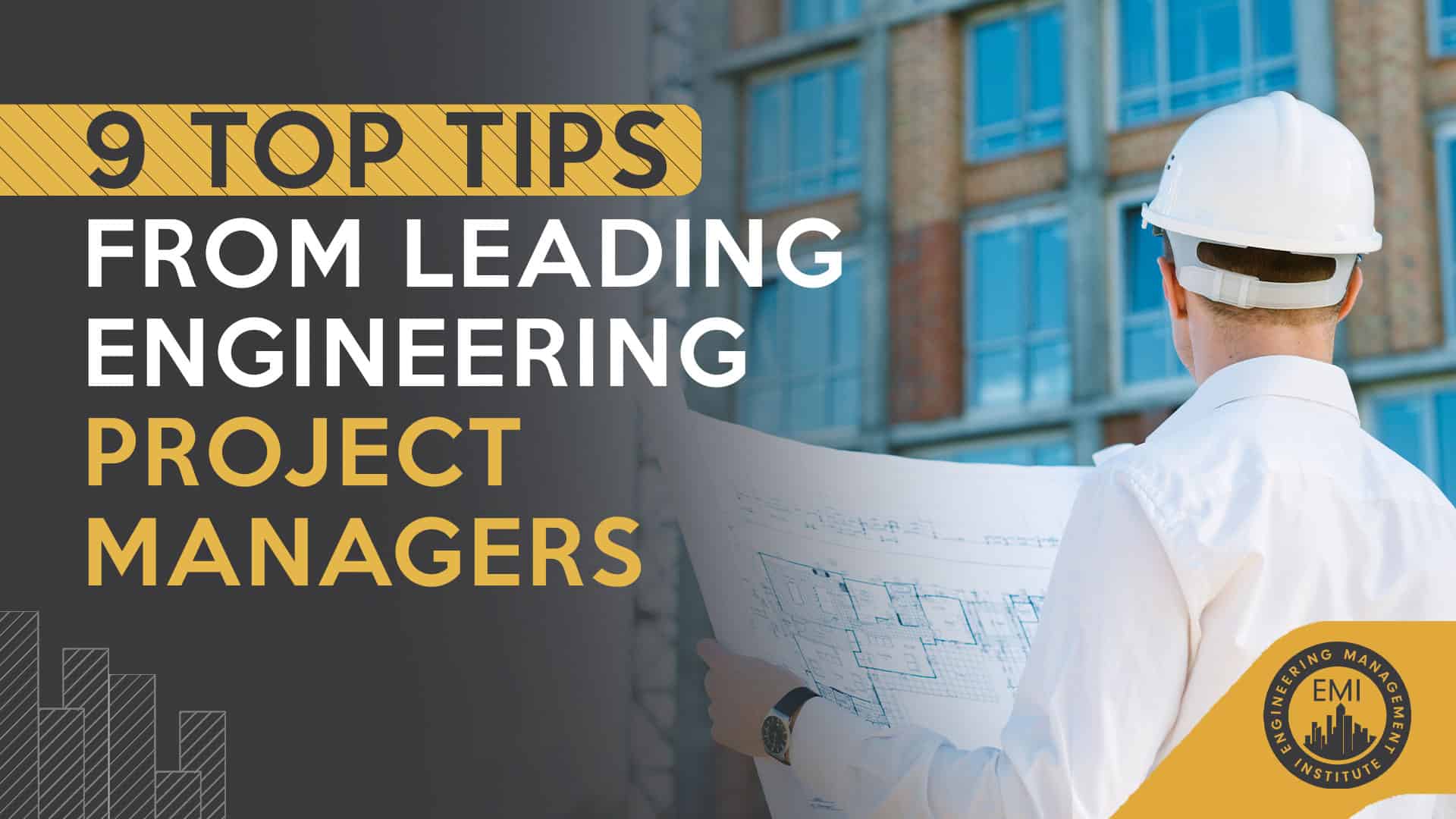 Project Managers