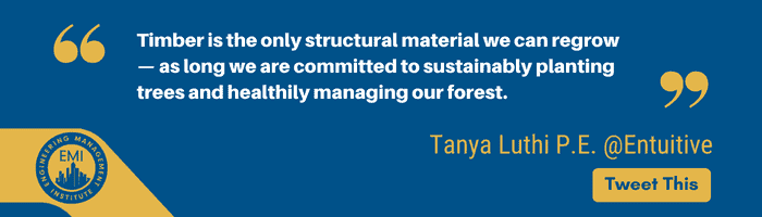 Mass Timber