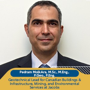 Pedram MolkAra