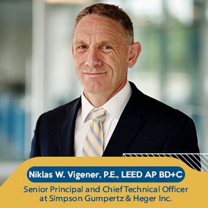 Niklas Vigene